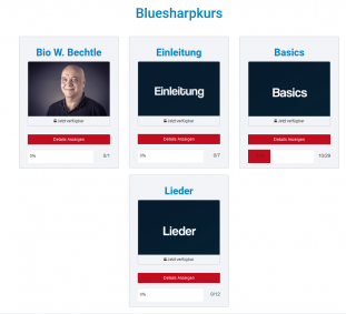 Bluesharpkurs-Module.png